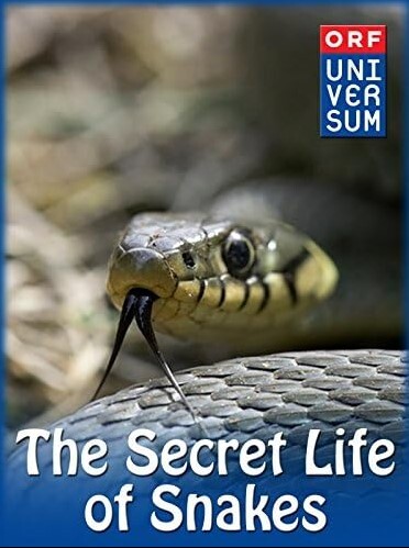 蛇的秘密生活
